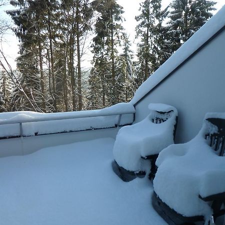 Terrassenhaus Winterberg Apartment Bagian luar foto