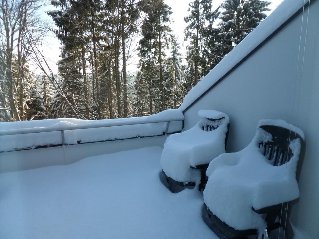 Terrassenhaus Winterberg Apartment Bagian luar foto